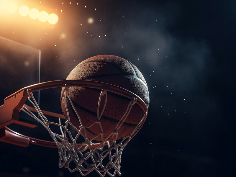 03月25日 NBL季后赛1/4决赛G1 上海玄鸟vs山东蜜獾 全场录像回放